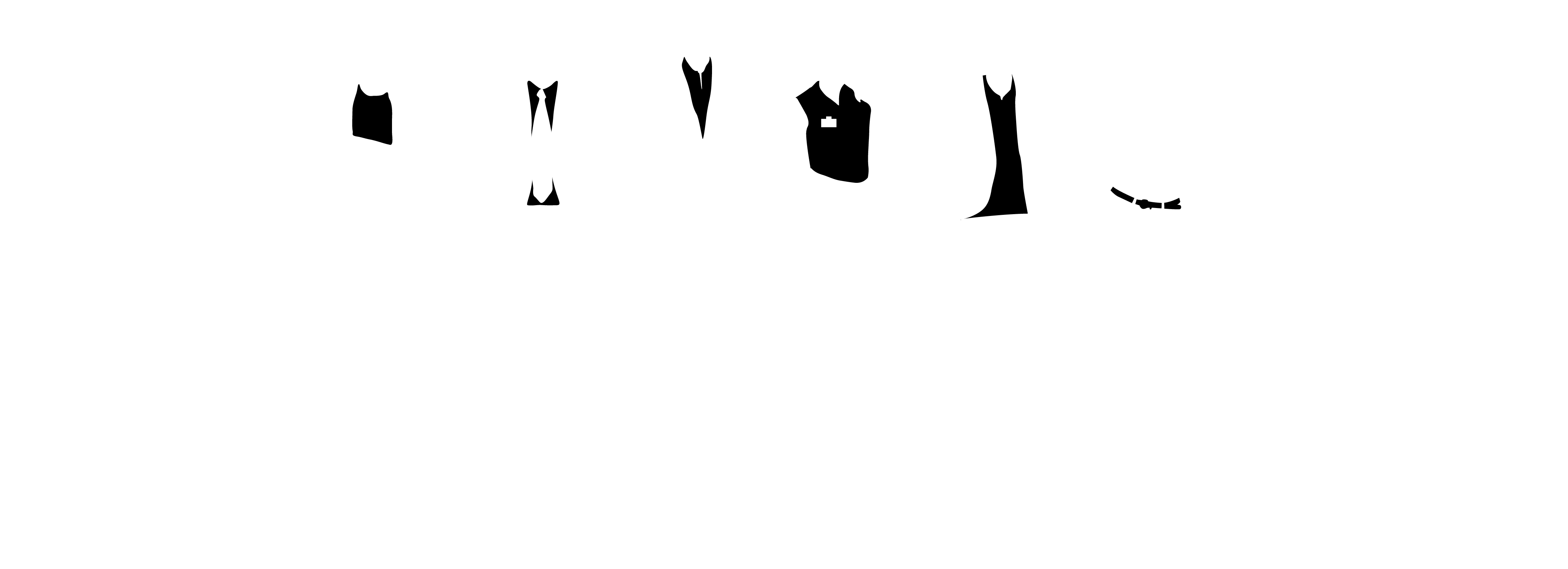 The Delegate Wranglers